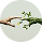 cleaner planet